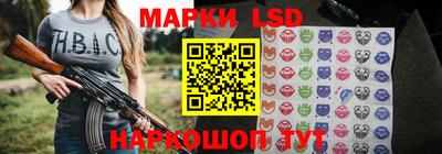 индика Жуковский