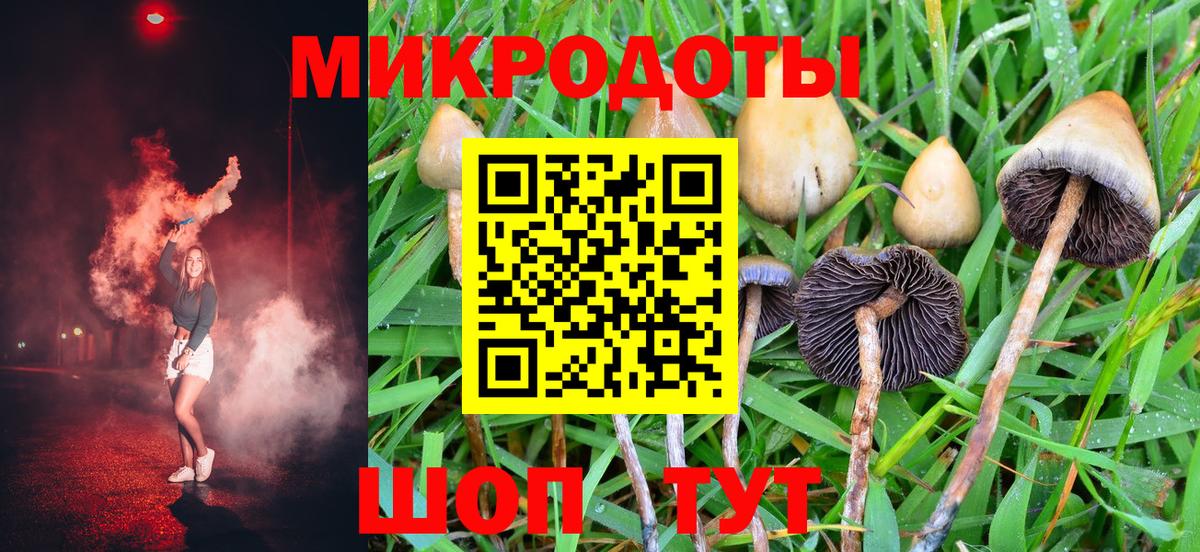 Галлюциногенные грибы MAGIC MUSHROOMS  Вход с VPN  Лянтор 