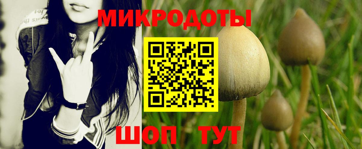 Псилоцибиновые грибы мицелий Лянтор