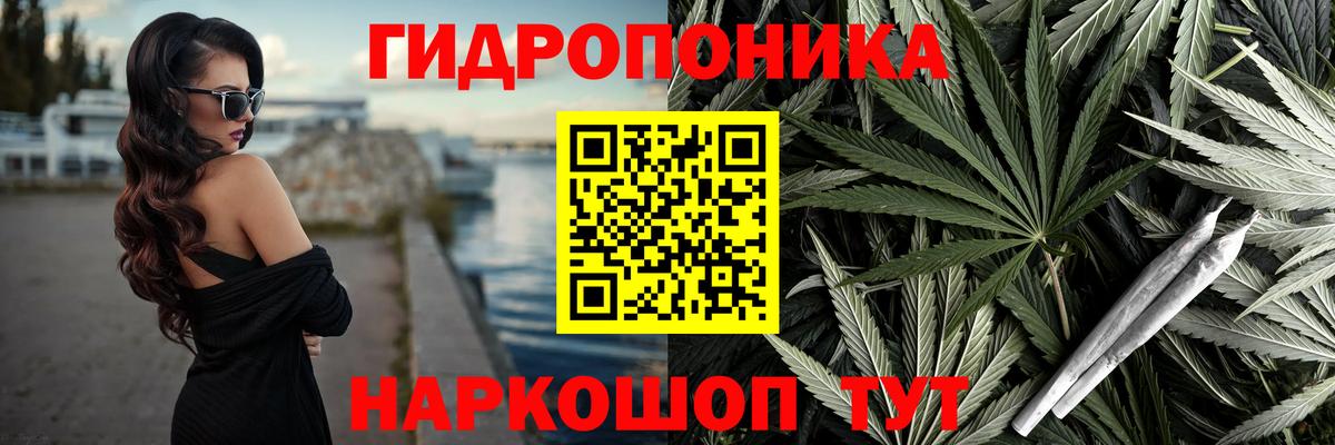 Лянтор  Марихуана планчик  Каннабис OG Kush  Вход с VPN 